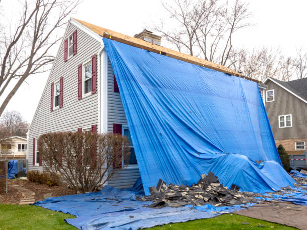 Best Brick Veneer Siding  in Brazoria, TX